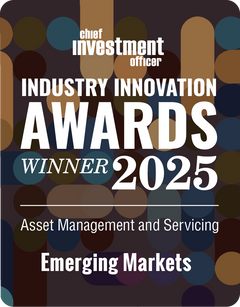 Logo: 2025 CHIEF INVESTMENT OFFICER Asset Management & Servicing: Emerging Markets Desk Plaque