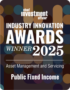 Logo: 2025 CHIEF INVESTMENT OFFICER Asset Management & Servicing: Public Fixed Income Desk Plaque