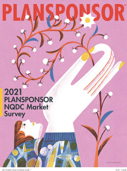 2021 PLANSPONSOR NQDC Providers