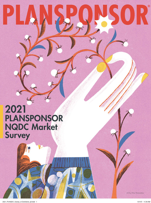 2021 PLANSPONSOR NQDC Providers